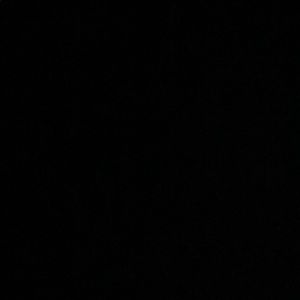 Meet your Posher, George